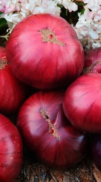 Томат Улицы разбитых фонарей