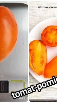 Томат Желтые сливки от Борисовны