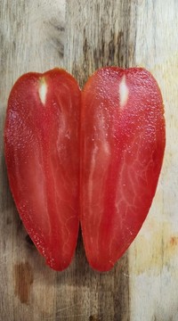 Томат Гном Леди Мадонна