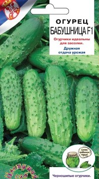 Огурец Бабушница засолочный