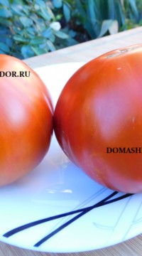 Томат Вишневый мясник