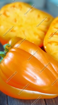 Томат Наслаждение тетушки Сварло (оранжевый)