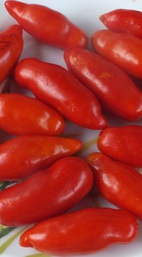 Томат Подвесная паста Латтанзио