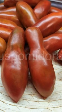 Томат фляшен коричневый