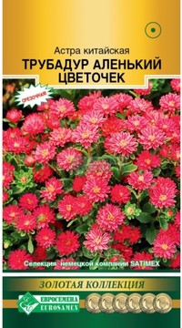 Астра Трубадур Аленький цветок