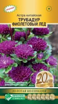 Астра Трубадур Фиолетовый лед