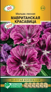 Мальва (шток-роза) Мавританская красавица