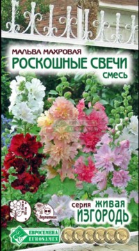 Мальва (шток-роза) Роскошные свечи