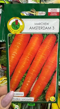 Морковь Амстердам 3 (Польша)