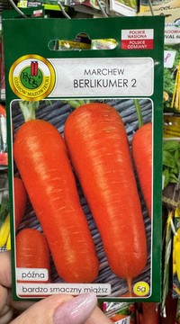 Морковь Берликумер 2 (Польша)