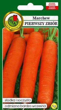 Морковь Первый сбор (Польша)