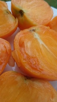 Томат Пастель оранжевое сердце