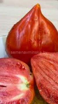 Томат Гигантский меч