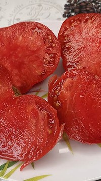 Томат Тайные сокровища вечности