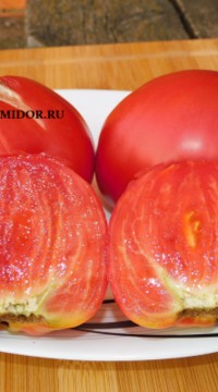 Томат Фокусник