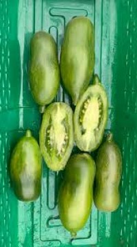 Томат Перчик Зелёный Медовый