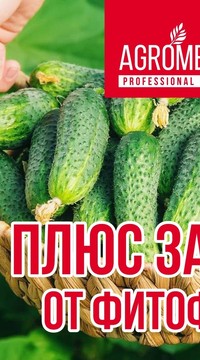 Защита от фитофторы (биопрепарат) Мера, 100 мл.