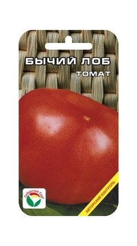 Томат Бычий лоб