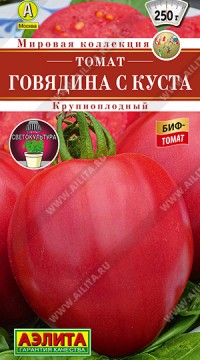 Томат Говядина с Куста