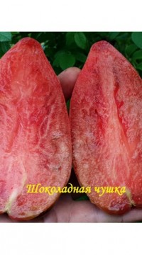Томат Шоколадная чушка