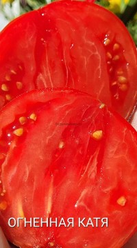 Томат Огненная Катя