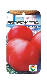 Томат Цифомандра СС