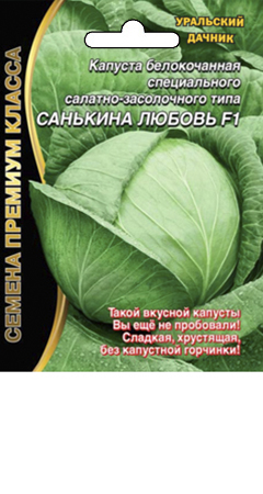 kapusta-belokochannaya-specialnogo-salatno-zasolochnogo-tipa-sankina-lyubov-f1