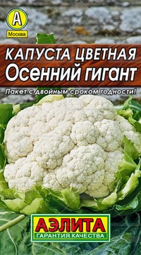 Капуста цветная Осенний гигант
